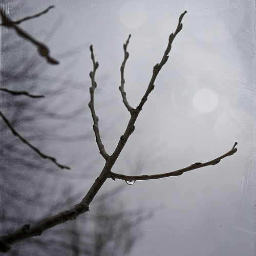 Tristesse D’Automne