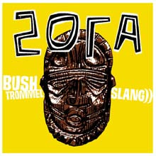 Bushtrommelslang