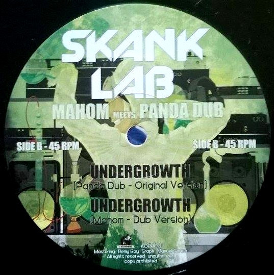 Skank Lab #1 - Mahom Meets Panda Dub