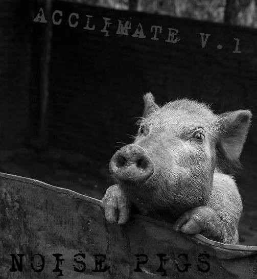 Noise Pigs