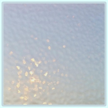 Boreal Visions