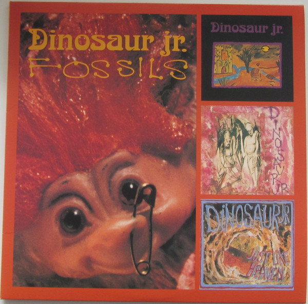 Fossils
