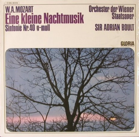 Eine Kleine Nachtmusik / Sinfonie Nr. 40 G-Moll