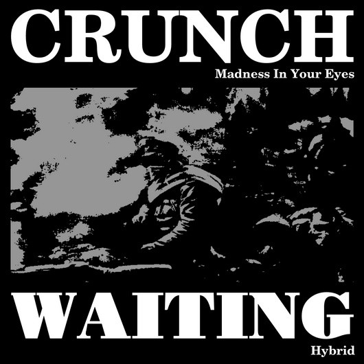 Madness In Your Eyes / Hybrid
