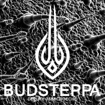 Budsteppa