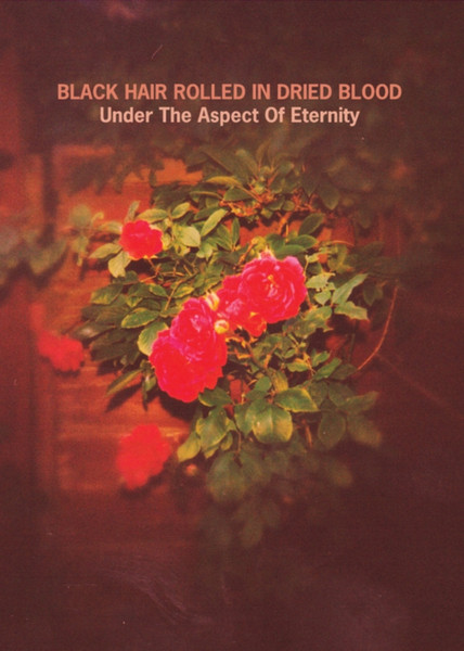 Under The Aspect Of Eternity