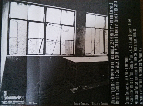 Broken Thoughts // Mosquito Control