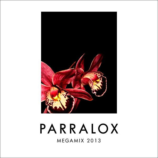 Megamix 2013