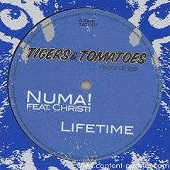 Lifetime