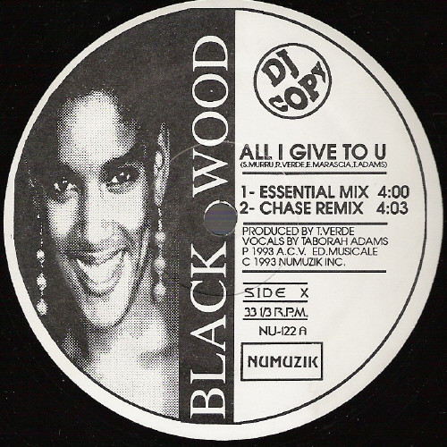 All I Gave To You / I Won't Let You Down