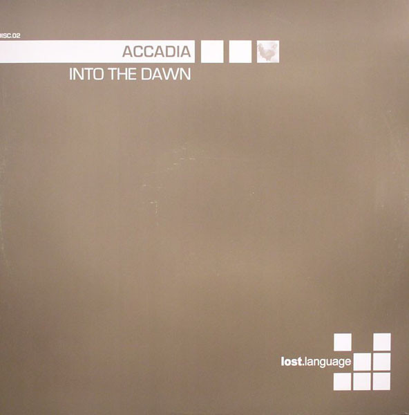 Into The Dawn