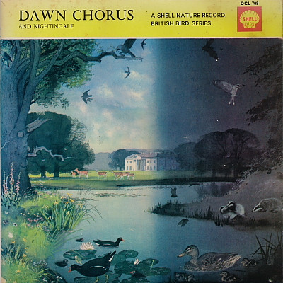 Dawn Chorus And Nightingale