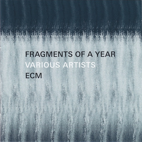 Fragments Of A Year