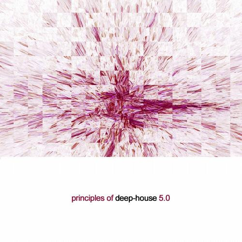 Principles Of Deep House 5.0