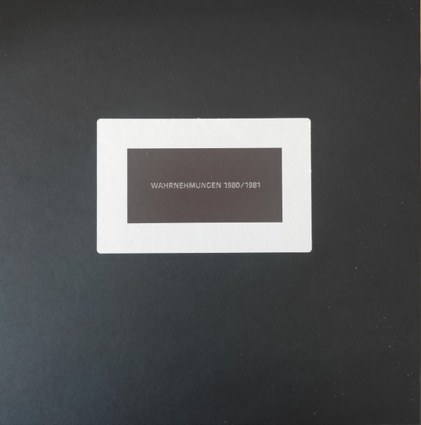 Wahrnehmungen 1980/1981