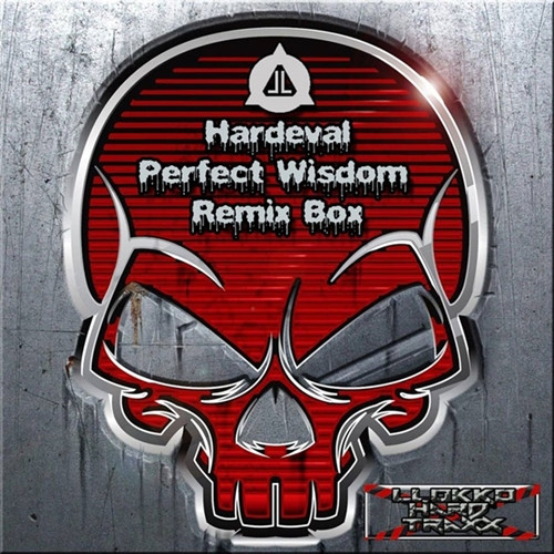 Perfect Wisdom (Remix Box)