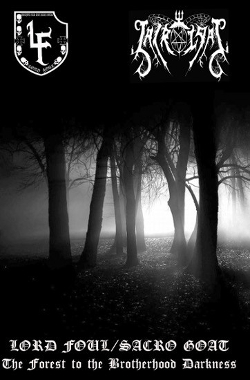 The Forest To The Brotherhood Darkness