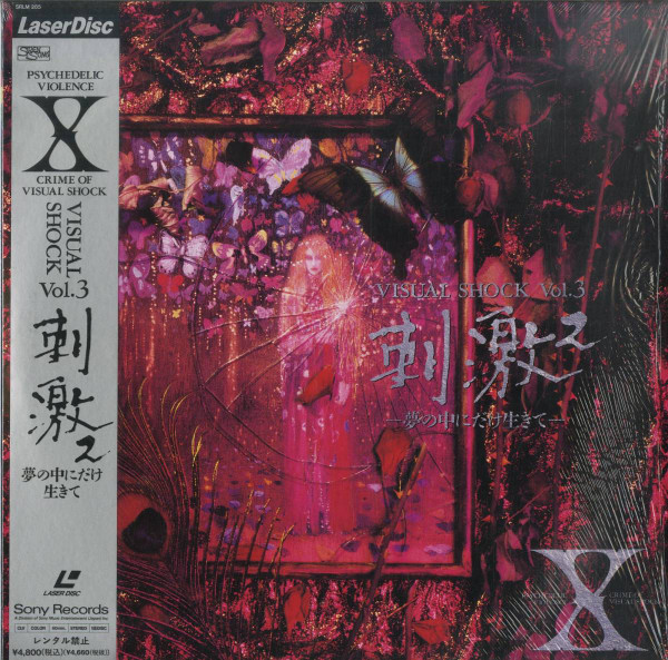 Visual Shock Vol.3 刺激² －夢の中にだけ生きて－