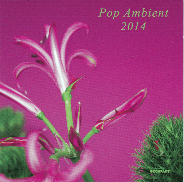 Pop Ambient 2014