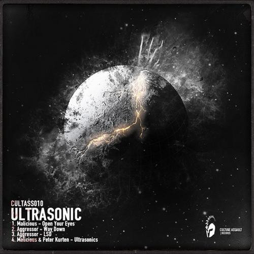 Ultrasonic