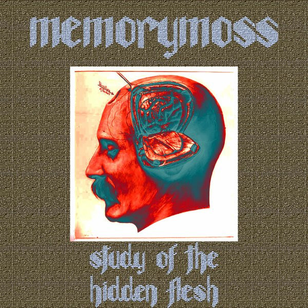 Study Of The Hidden Flesh