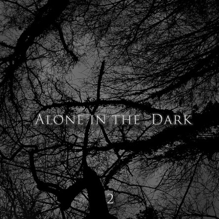 Alone In The Dark #2