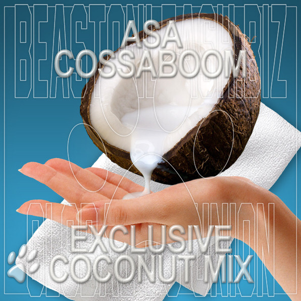 Exclusive Coconut Mix