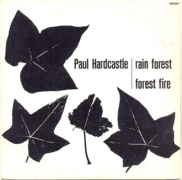 Rain Forest / Forest Fire
