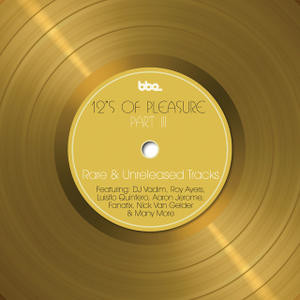 12"s Of Pleasure Part III (Rare & Unreleased Tracks)