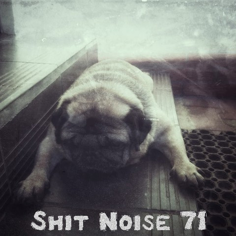 Shit Noise 71