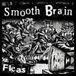 Fleas