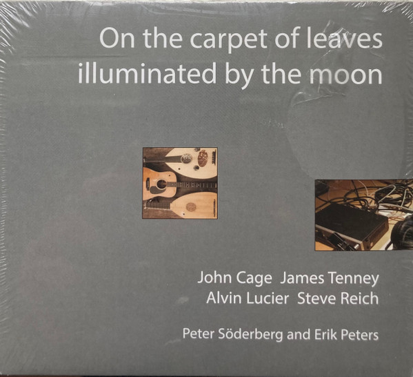 On The Carpet Of Leaves Illuminated By The Moon