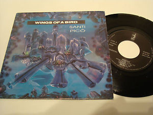 Wings Of A Bird