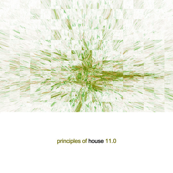 Principles Of House 11.0