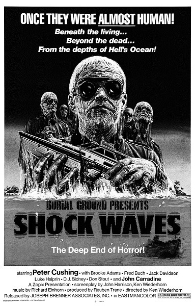Shock Waves