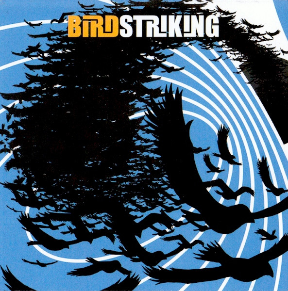 Birdstriking