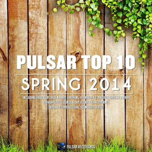 Pulsar Top 10 (Spring 2014)