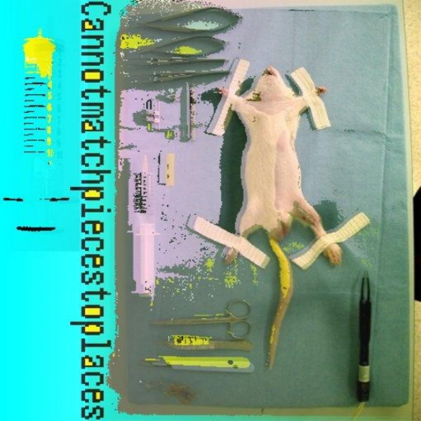 Cannotmatchpiecestoplaces (4 Track Demo)