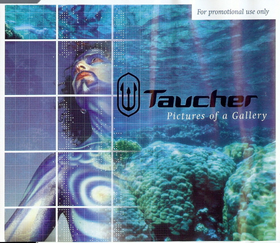 Pictures Of A Gallery
