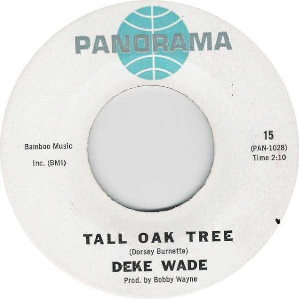 Tall Oak Tree / Sheri