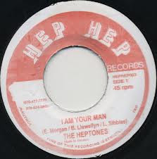 I Am Your Man