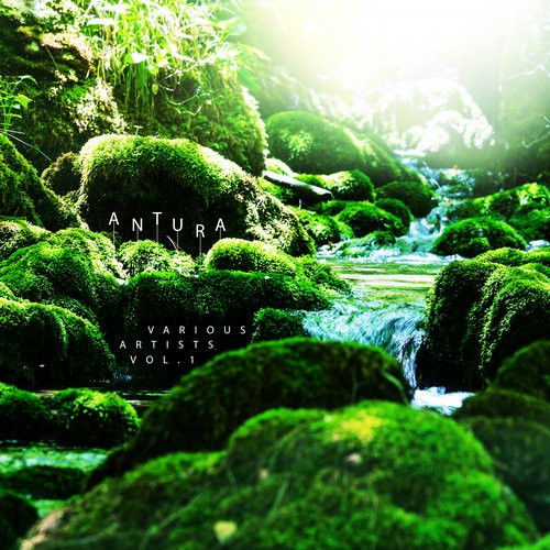 Various Artists Vol.1