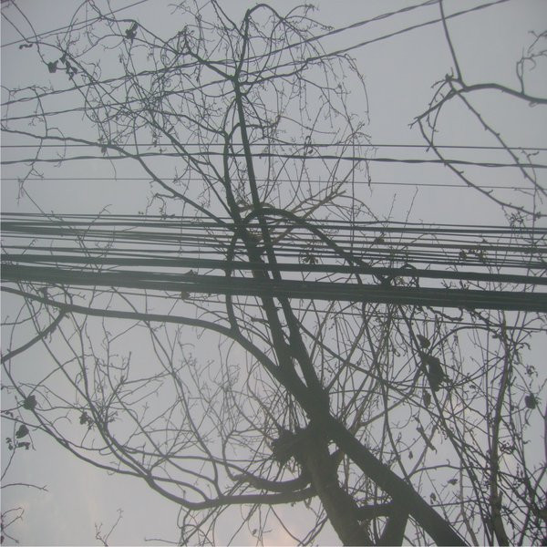Ambient I