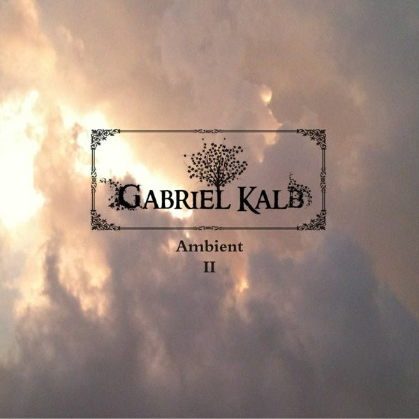 Ambient II