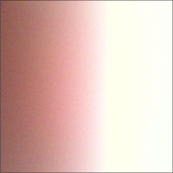 White Places​ / ​Empty Space