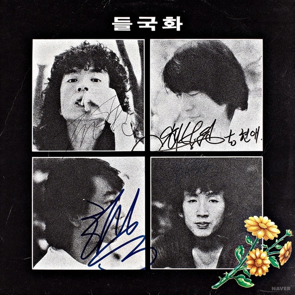 들국화