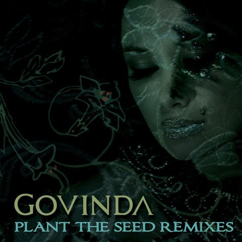 Plant The Seed (Remixes)