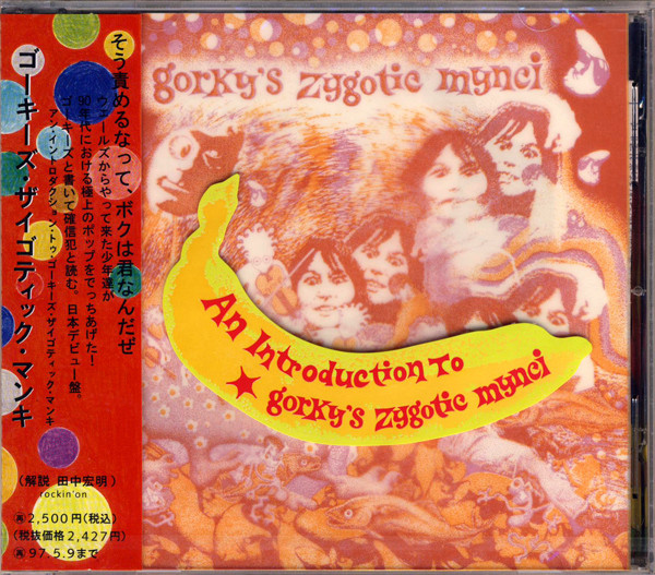 An Introduction To Gorky's Zygotic Mynci