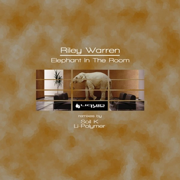 Elephant In The Room