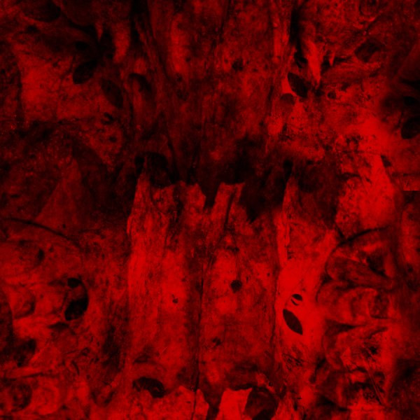 Red Marrow: The Re​-​Mixes And Interpretations
